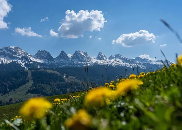 Sternen 3* Унтервассер