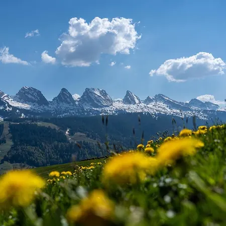 Sternen 3* Unterwasser