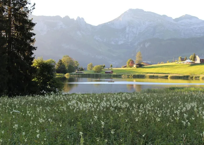 斯特恩安特瓦塞尔酒店 3* 安特瓦塞尔