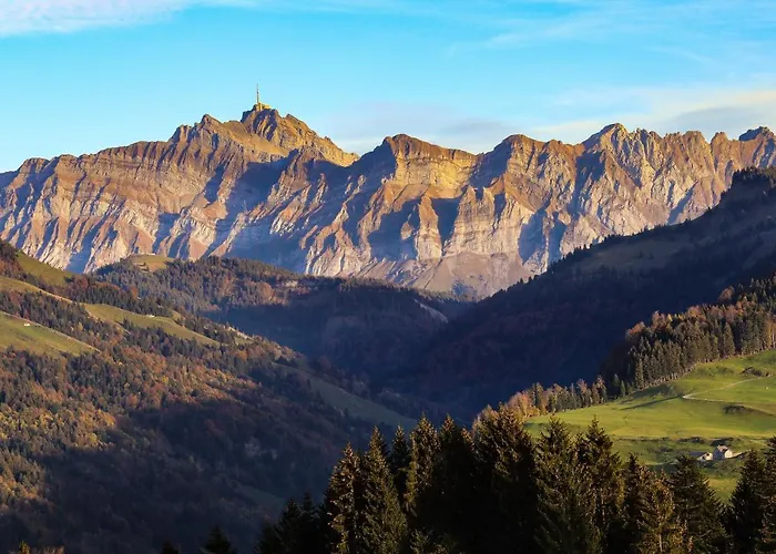酒店 斯特恩安特瓦塞尔酒店 3*