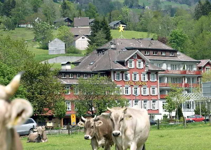 斯特恩安特瓦塞尔酒店 安特瓦塞尔